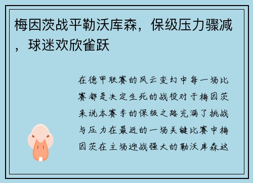 梅因茨战平勒沃库森，保级压力骤减，球迷欢欣雀跃