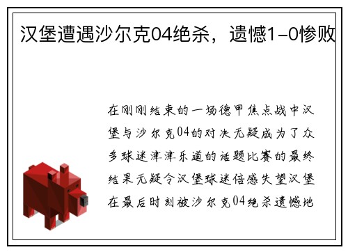 汉堡遭遇沙尔克04绝杀，遗憾1-0惨败